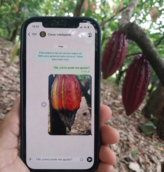 Matéria do Cacau & Chocolate sobre o App do Cacau