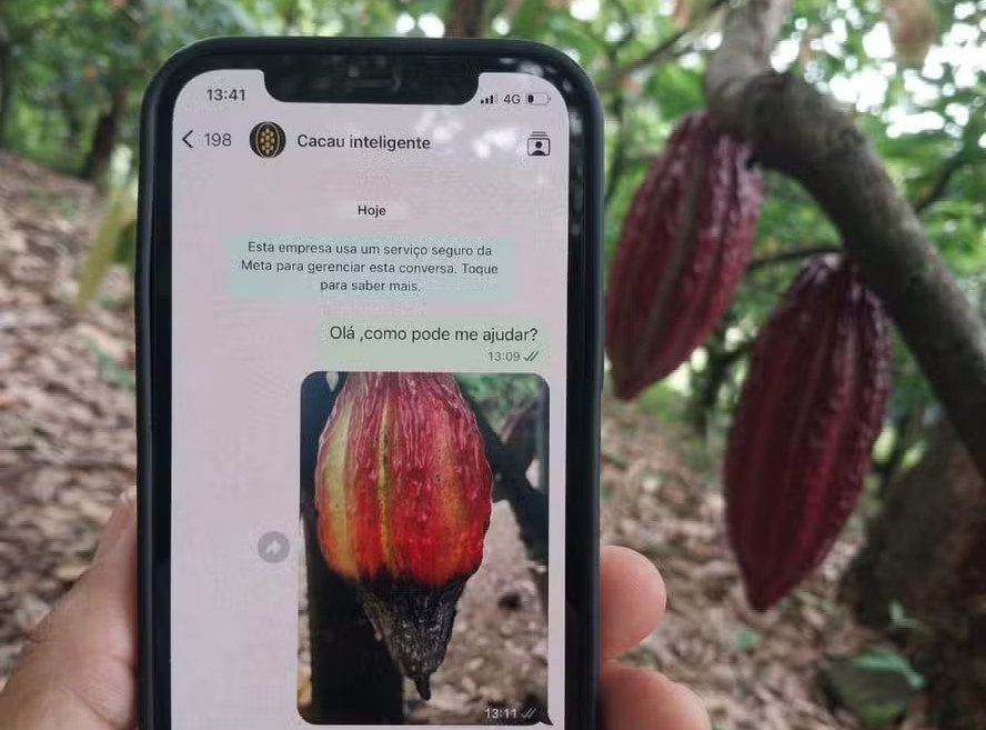 Publicação do Instituto Tijuípe sobre o App do Cacau