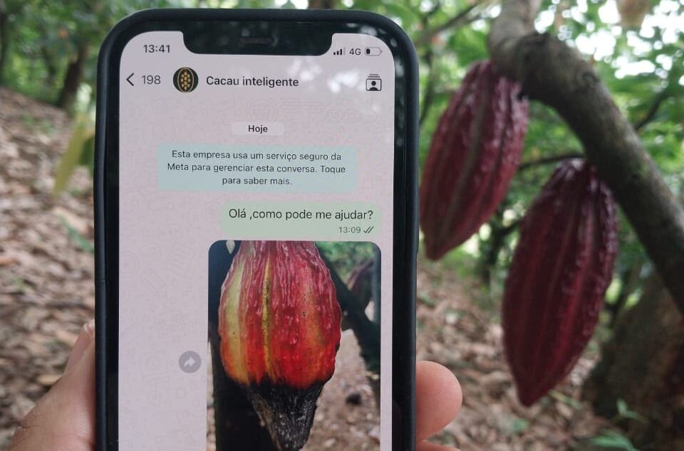 Matéria do Movimento Econômico sobre o App do Cacau
